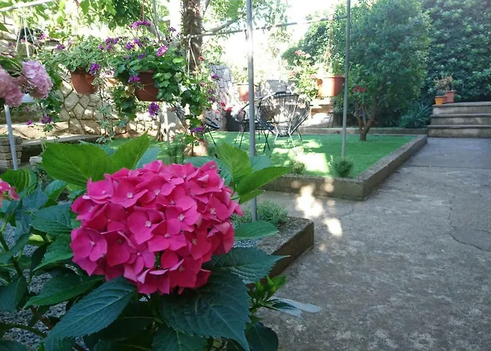 Ela Cres